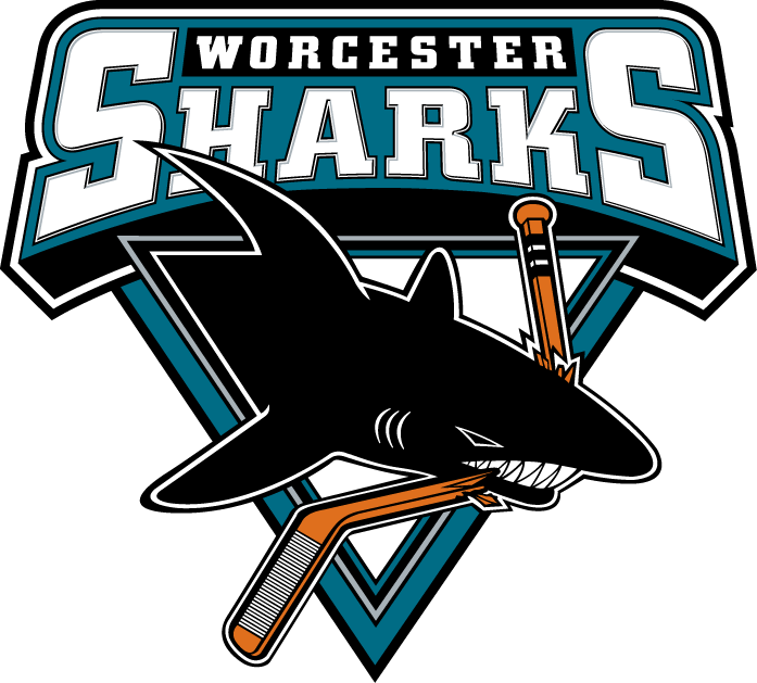 Worcester Sharks iron ons